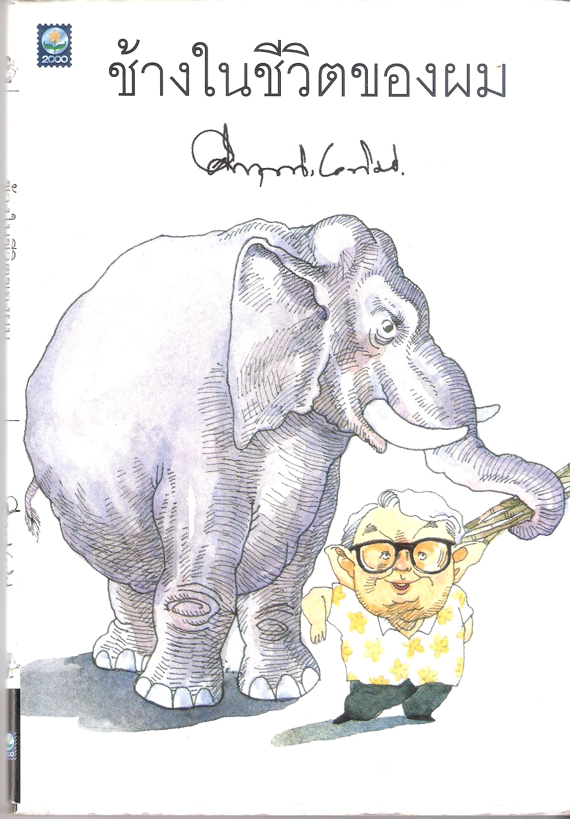 Elephant Essay